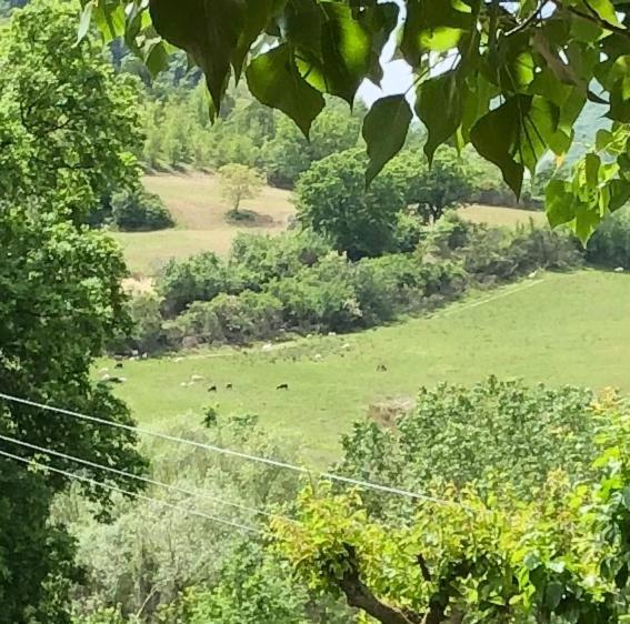 Agriturismo Il Covo Del Solengo Villa Valtopina Exterior foto