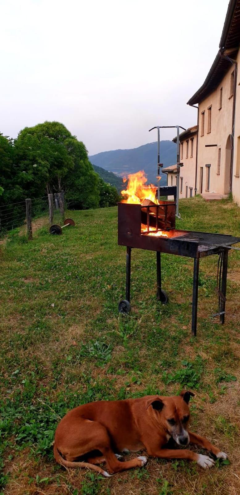 Agriturismo Il Covo Del Solengo Valtopina Exterior foto
